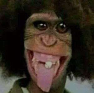 Meet your Posher, Gabriel